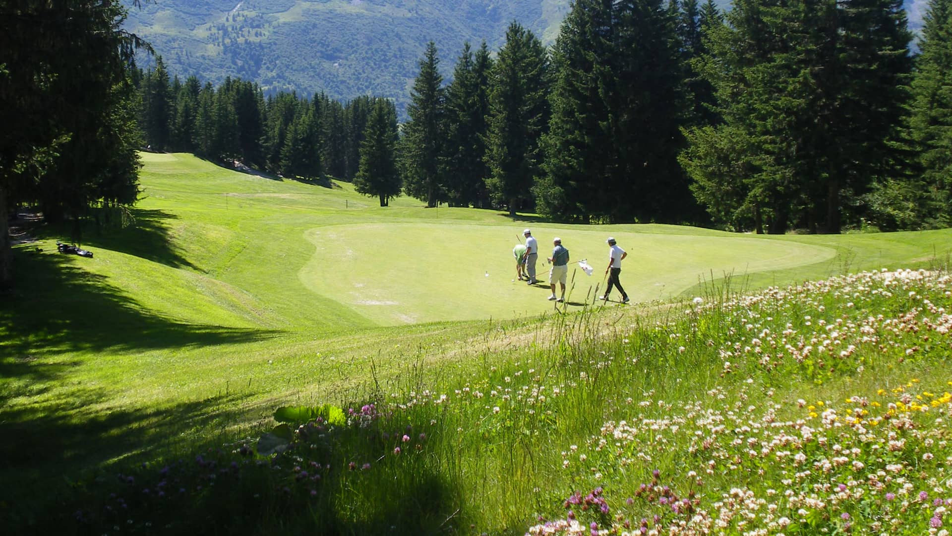 Euro-Tec : Hydromulching pour embellir et gérer des zones « JEVI » - Jardins, Espaces Verts, Infrastructures.