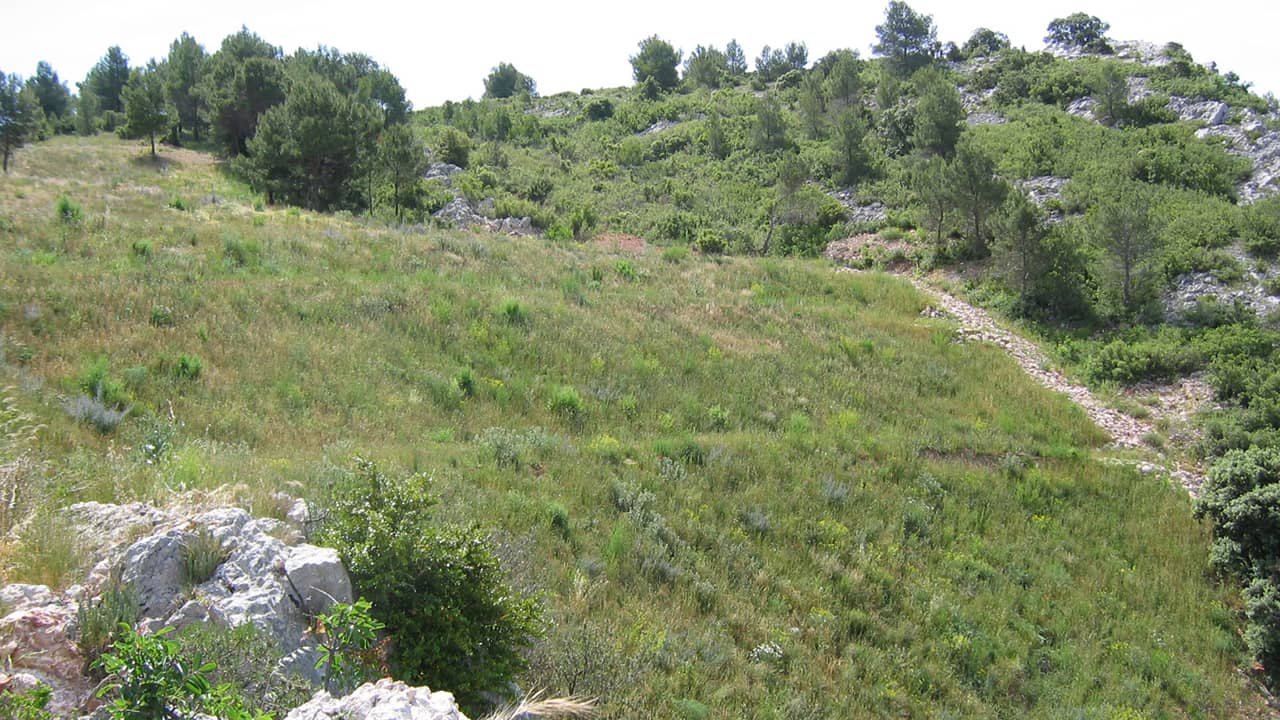 Hydromulching - Mines et carrières, friches industrielles, centres de stockages ISDND