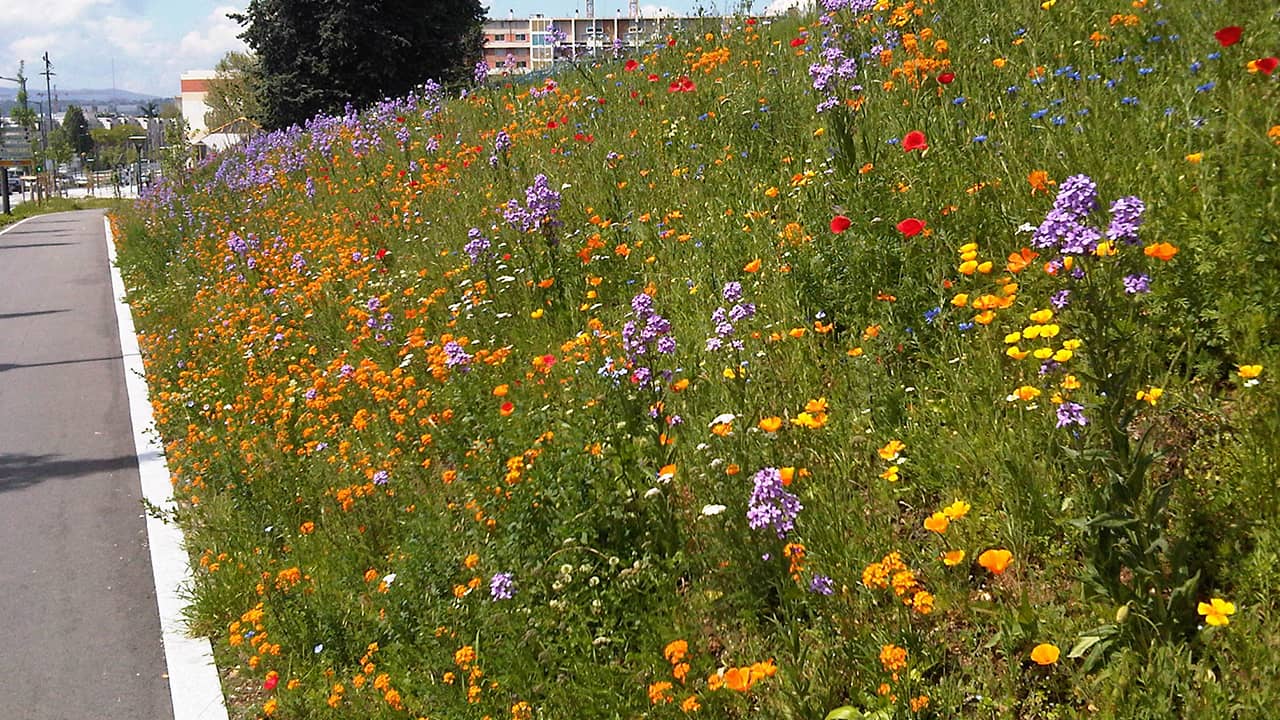 Hydromulching - Parcs, Zones artisanales et Industrielles, abords urbains ou périurbains.